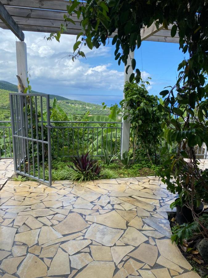 Bas De Villa Courbaril Bouillante Luaran gambar